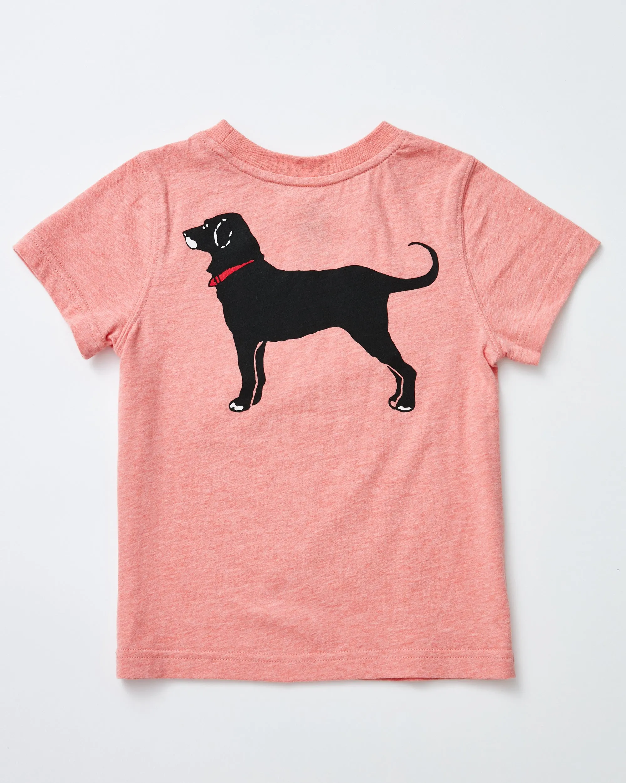 Lil Kids Martha's Vineyard Homeport Tee